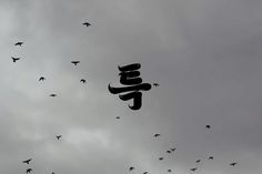 there are many birds flying in the cloudy sky with chinese characters on it's tail