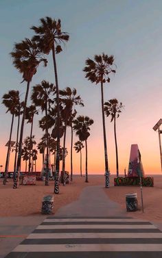 palm trees line the beach as the sun sets