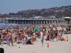 many people are on the beach and in the water