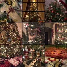 many different pictures of christmas trees with presents on them and cats in the middle one