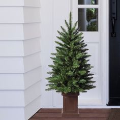 a potted christmas tree in front of a door