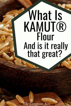 text "what is kamut flour and is it really that great- the evergreen acre" black text white background kamut wheat berries in a wooden bowl Khorasan Flour Recipes, Kamut Bread Machine Recipes, Kamut Bread Recipes, Kamut Pancakes, Kamut Sourdough Bread, Kamut Sourdough