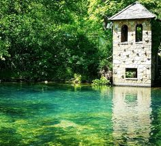 a bird house sitting on top of a lake surrounded by trees