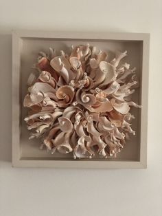 an arrangement of seashells is mounted in a white frame on the wall,