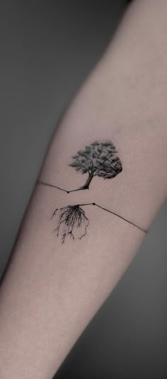 50 Gorgeous and Meaningful Tree Tattoos Inspired by Nature’s Path Wrap Around Tree Tattoo, Left Peck Tattoo Men Ideas, Pythagoras Tattoo, Philosophy Tattoos Ideas, Tree Wrist Tattoos For Women, Men Tattoos For Daughter, Existential Tattoo Ideas, Tree Armband Tattoo, Fine Line Tattoo Tree