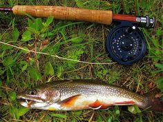 a fish is laying on the ground next to a fly rod