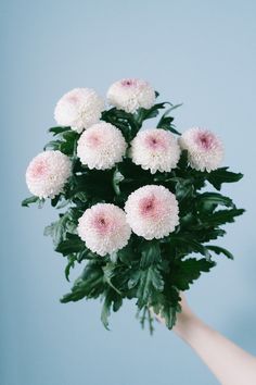 a bouquet of white and pink flowers in someone's hand against a blue background