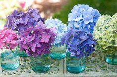 four glass vases filled with purple and blue flowers