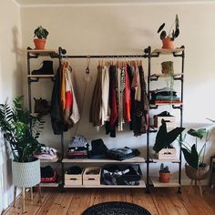 a room filled with lots of clothes and plants on the wall next to a shelf