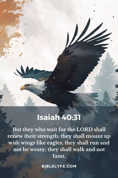 an eagle flying through the sky with a bible verse