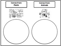 the worksheet for comparing plants and animals