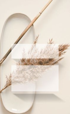 two white plates with dried plants on them and a wooden stick in the middle next to it