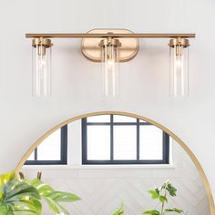 a bathroom light fixture with three lights on the wall and a plant in front of it