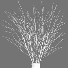 a white vase filled with branches on top of a gray background, in front of a black and white wall