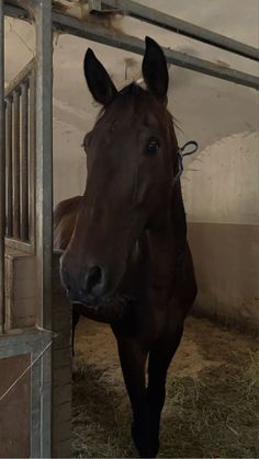 a brown horse standing inside of a barn next to a metal pole with hay on it's sides