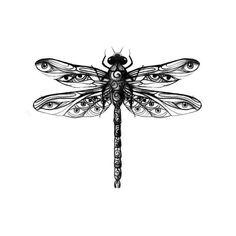 a black and white drawing of a dragonfly