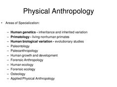 an image of the physical and technological aspects of human anatomy, including physical anthropy