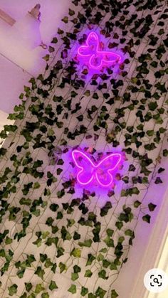 two neon butterflies on a wall with ivy