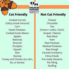 a poster with the words cat friendly and not cat friendly