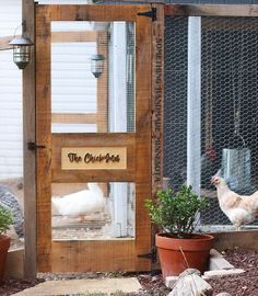 a chicken is standing in front of the coop door