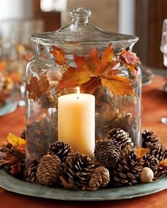 #HomeDecor #FallDecor #FallBedroomDecorIdeas #BedroomDecor #FallDecorIdeas #FallWreath #EasyHomeDecor #AffordableDecor #AffordableFallDecor #FallAccesroies Nature Jar, Fall Nature, Classy Decor