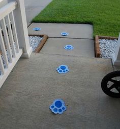 some blue circles on the ground near a white fence