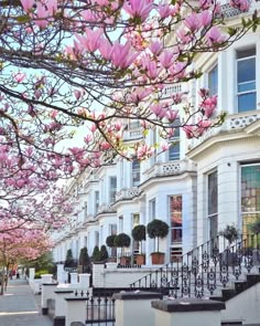 a row of white houses with pink flowers on the trees