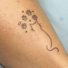 a cat with paw prints coming out of it's back leg