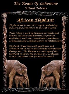 two elephants standing next to each other in front of a black background with the words african elephant