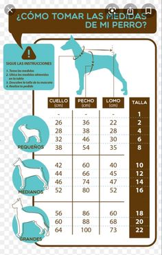 an info sheet showing how to measure the dog's height and weight for each breed