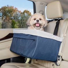 a dog sitting in the back seat of a car