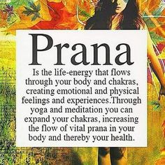 an advertisement for prana with a woman holding a sign in front of her face