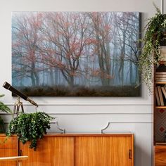 a living room with a painting on the wall next to a book shelf and plant