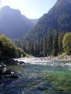 there is a river that runs through the mountain side with trees on both sides and mountains in the background