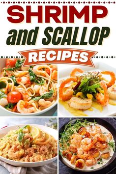 shrimp and scallop recipe collage with text that reads shrimp and scallop recipes