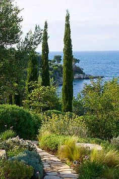 a stone path leading to the ocean with trees and shrubs on either side, along with an island in the distance