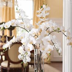 a vase filled with white flowers on top of a table