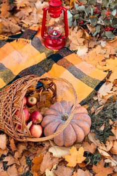 a basket filled with apples sitting on top of leaves next to a red light bulb