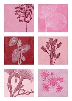 four different types of flowers on pink paper