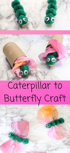 the caterpillar to butterfly craft is made with toilet paper and rolled up tissue