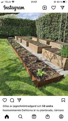 several wooden planters are lined up in the grass with plants growing out of them