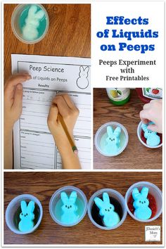 the process for making peeps experiment with free printables is shown in pictures