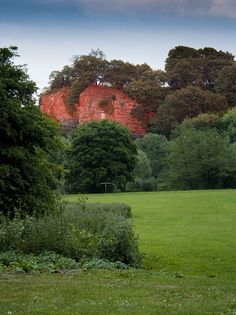 a grassy field with trees and bushes in the foreground, an old red building in the background