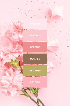 pink flowers with the names of different colors