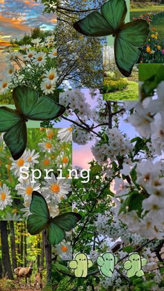 the words spring are surrounded by pictures of flowers and trees with animals in them,