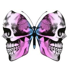 a drawing of a skull with a butterfly on it's back wing, in pink and blue