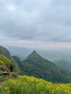 a person standing on top of a lush green hillside next to a valley filled with yellow flowers