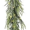 an evergreen tree with white lights hanging from it's branches on a white background