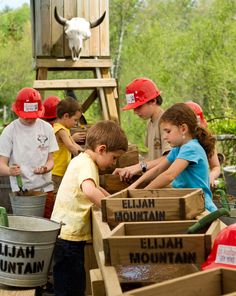 children are playing with wooden crates in the woods