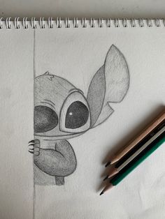 a pencil drawing of a koala holding onto a leaf